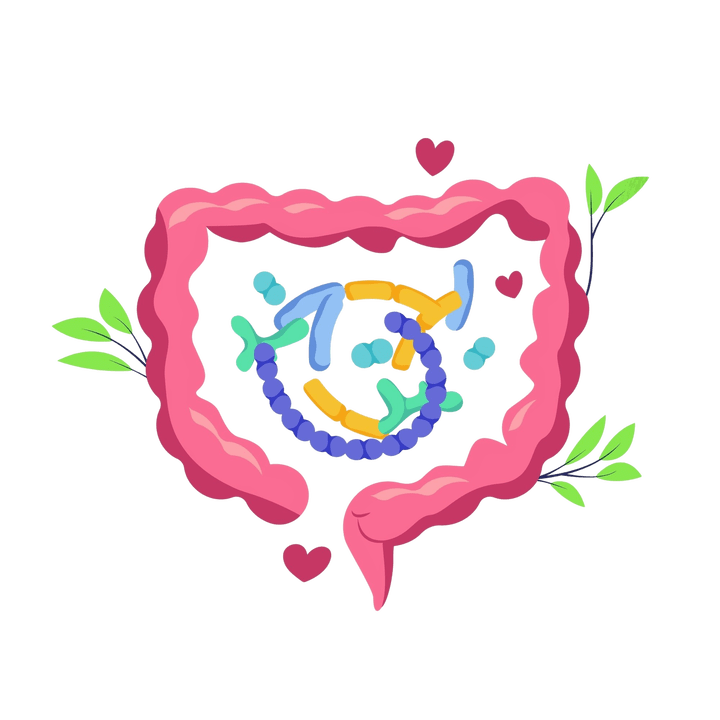 Gesunde Verdauung und keine Parasiten