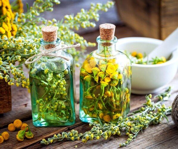 Rainfarn-Tinktur zur Entfernung von Würmern