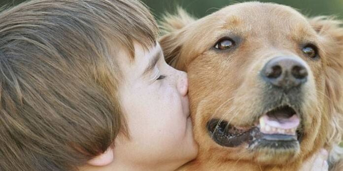 Junge bekommt Parasiten vom Hund